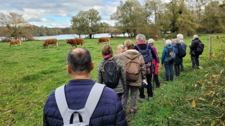 Association Comité des Fêtes de Fontaine-le-Port : une facette sportive