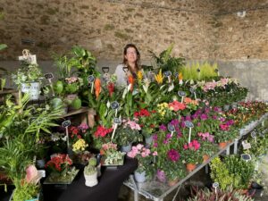 Marché hebdomadaire Soignollais