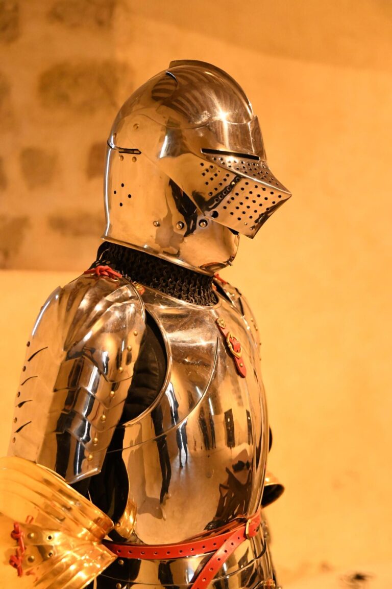 Visite flash - L'histoire fracassante de la chevalerie_Blandy