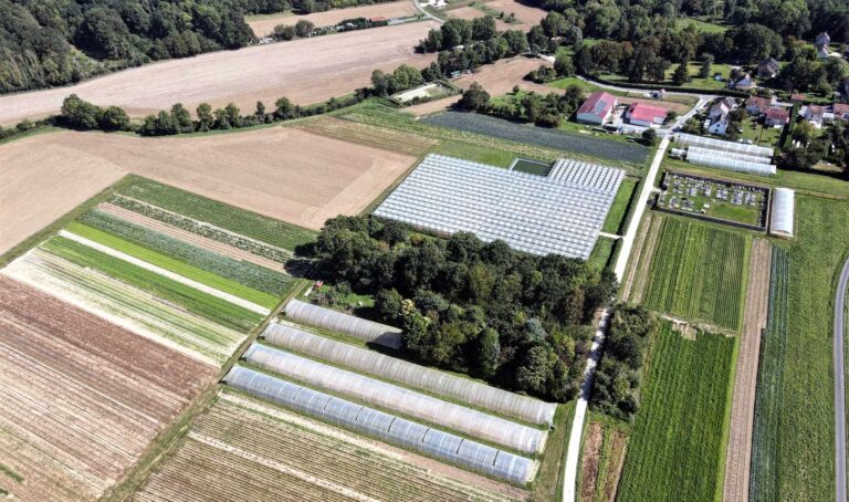 La Ferme d'Argent'Yerres_Argentières_producteur_77