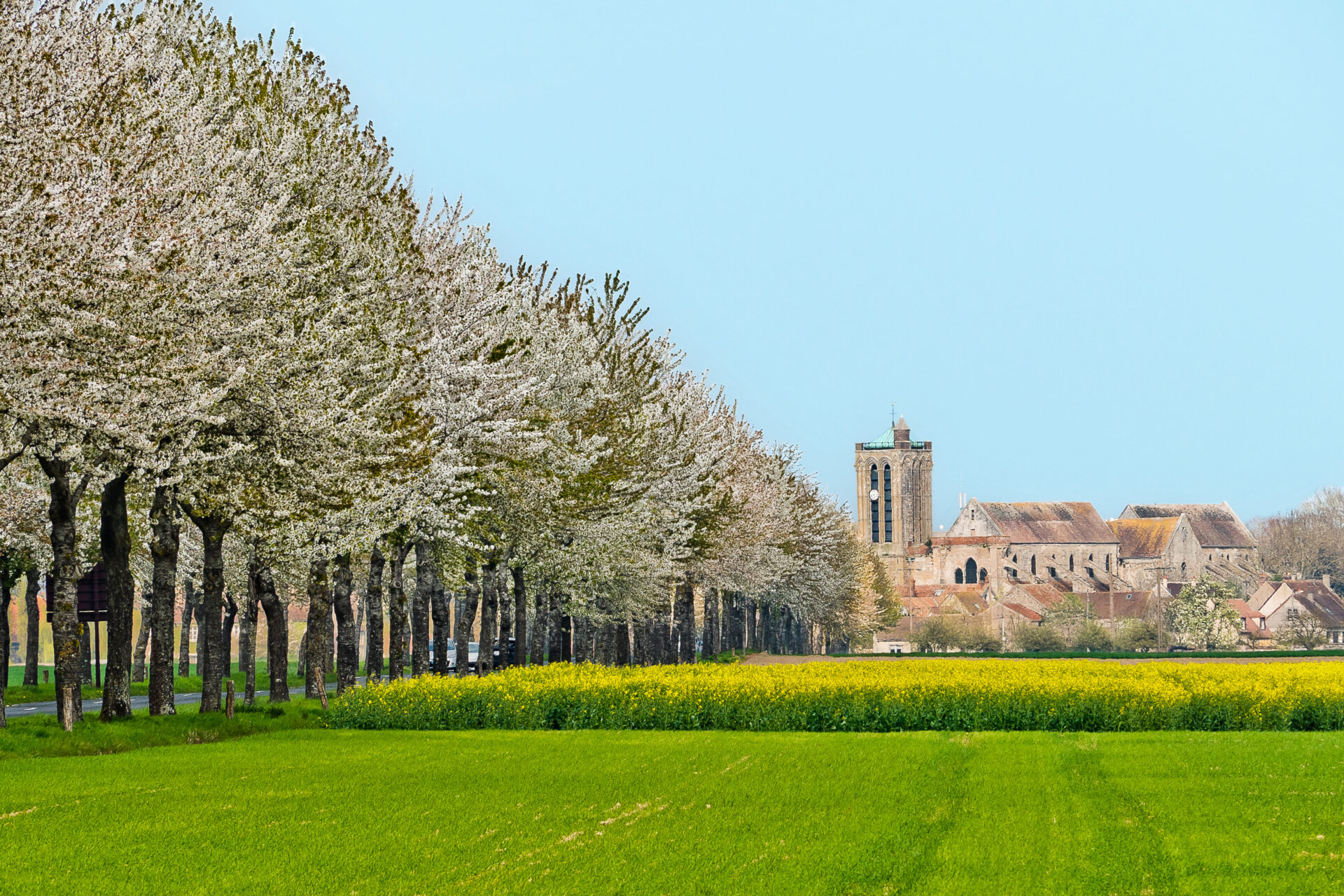Collégiale Champeaux paysage