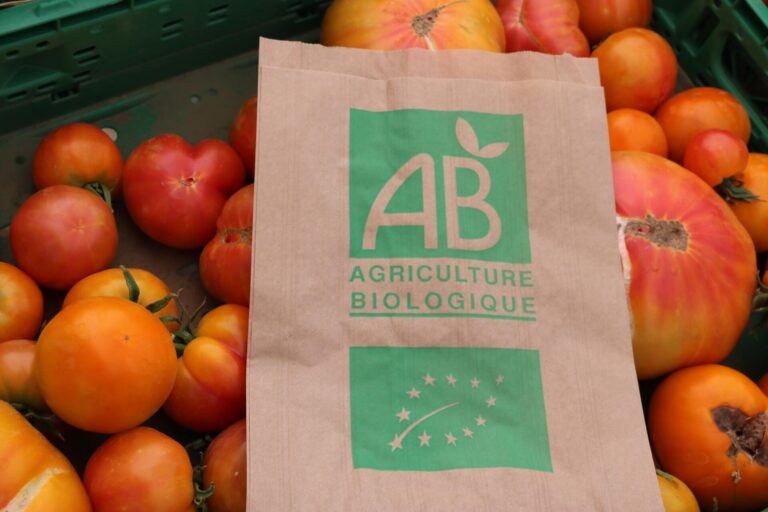 Les Paniers de Bérenger_Machault_BIO