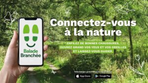 Balade branchée en Brie – Villefermoy (sentier N°1)
